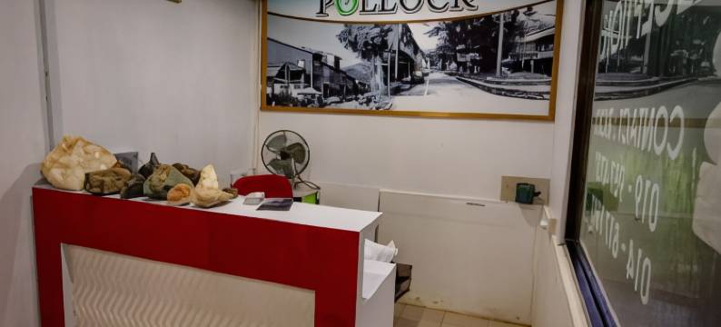 波洛克景观度假村(Pollock View Resort)图片