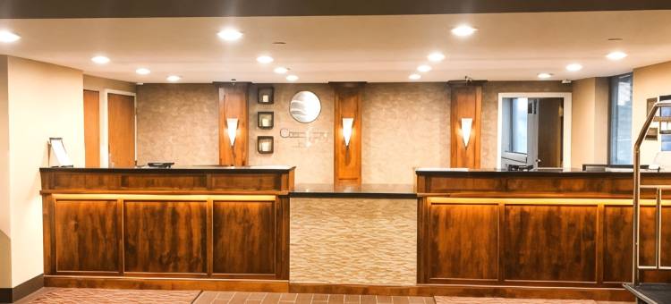 舒适酒店(Comfort Inn)图片