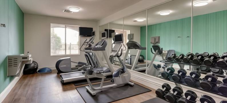 智选假日套房酒店沃克西哈奇 by IHG(Holiday Inn Express & Suites WAXAHACHIE by IHG)图片