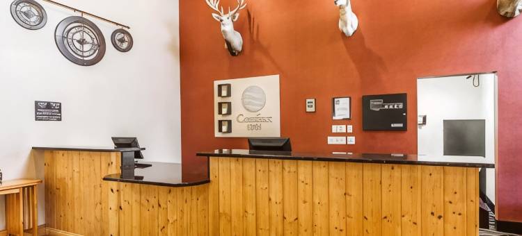 瓦通纳近医学中心舒适酒店(Comfort Inn Owatonna Near Medical Center)图片