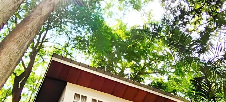 热带雨林度假村(Rain Forest Resort)图片
