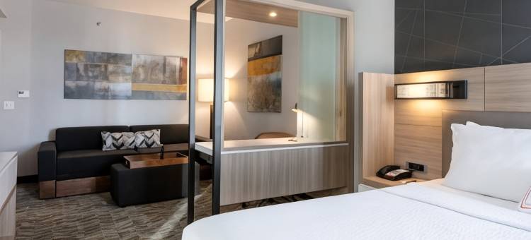 查特努加南-林戈尔德万豪SpringHill Suites酒店(SpringHill Suites Chattanooga South/Ringgold, GA)图片