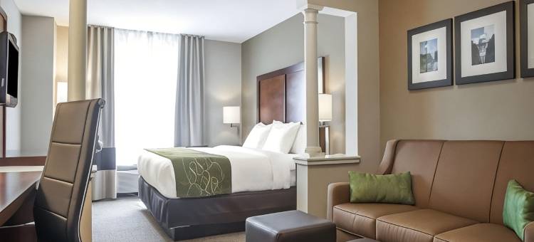 西沃里克 - 普罗维登斯舒适套房酒店(Comfort Suites West Warwick - Providence)图片