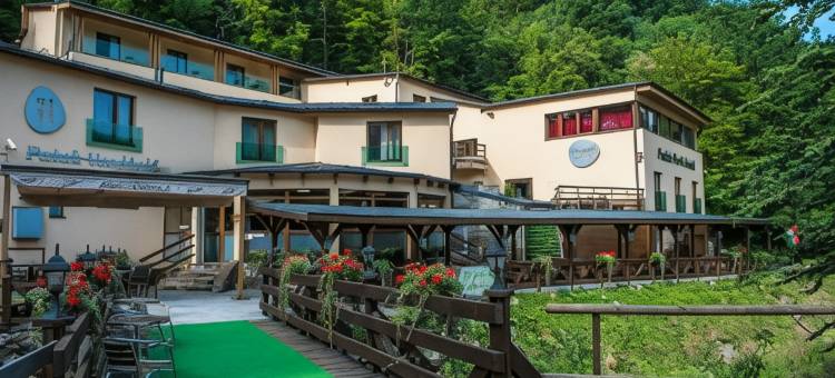 帕塔克公园酒店(Patak Park Hotel Visegrád)图片