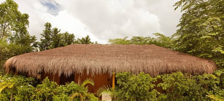 彼德拉阿瓜帕伦克酒店(Piedra de Agua Palenque)图片