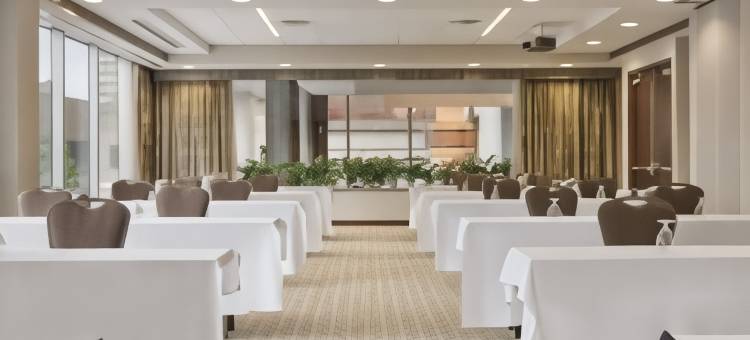 布法罗希尔顿安泊酒店(Embassy Suites by Hilton Buffalo)图片