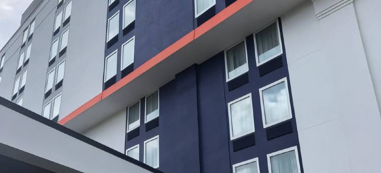 亚历山德里亚西部舒适酒店及套房(Comfort Inn & Suites Alexandria West)图片