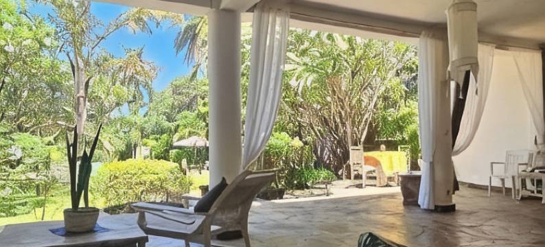 白色尼翁巴马林迪(White Nyumba)图片