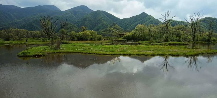 神农架今日醉民宿(木鱼镇店)图片