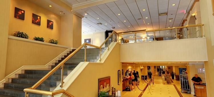 蒙特利尔万豪德尔塔酒店(Delta Hotels Montreal)图片