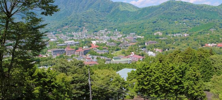 利夫马克斯度假酒店-箱根仙石原店(LiVEMAX RESORT HAKONESENGOKUHARA)图片