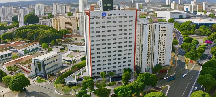 戈亚尼亚舒适酒店(Comfort Hotel Goiânia)图片
