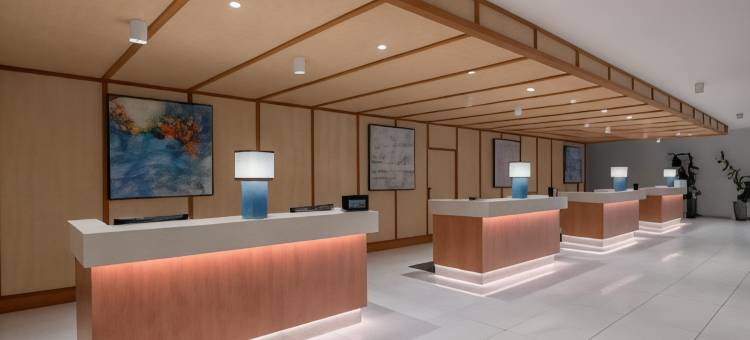 希尔顿日内瓦会议中心酒店(Hilton Geneva Hotel and Conference Centre)图片