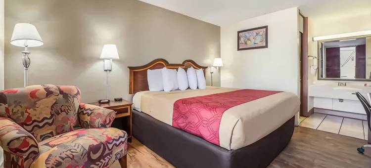 梅肯西伊克诺旅馆套房(Econo Lodge Inn & Suites Macon West)图片