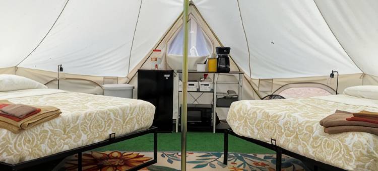 历史悠久的劳雷尔高地经营中的农场内帆布钟形帐篷(Canvas Bell Tent on Working Farm in Historic Laurel Highlands)图片