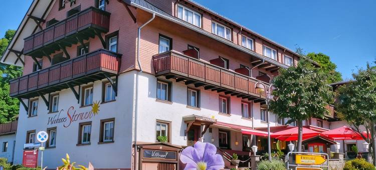 斯特内沃彻尔酒店(Wochner's Hotel-Sternen am Schluchsee Hochschwarzwald)图片