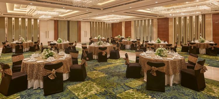皇家班加罗尔兰花酒店(Hotel Royal Orchid Bangalore)图片
