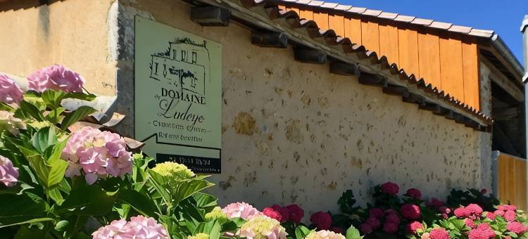 多曼德卢戴酒店(Domaine de Ludeye, Chambres d'hôtes - Médoc)图片