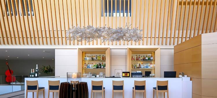 音乐酒店(Hotel da Música)图片