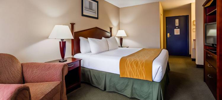 斯普林菲尔德贝斯特韦斯特酒店(Best Western Springfield)图片