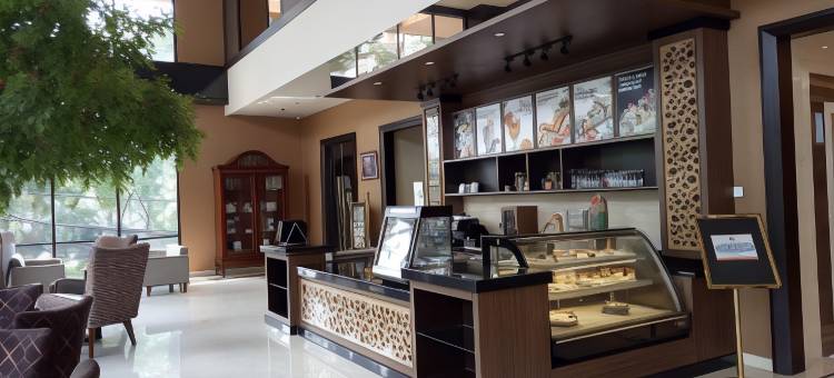 泗水阿里亚中心酒店(Aria Centra Surabaya)图片