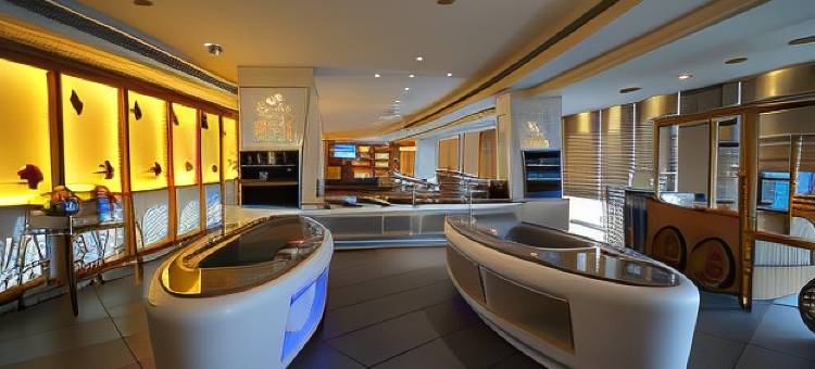乌代布尔丽筠酒店(Radisson Udaipur)图片