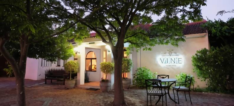 藤蔓旅馆(Vine Guesthouse)图片