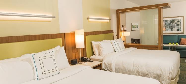 布法罗机场万豪SpringHill Suites酒店(SpringHill Suites Buffalo Airport)图片
