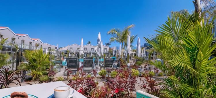 卡尔德洛尼斯感官精选酒店-建议成人入住(Hotel LIVVO Los Calderones - Adults Recommended)图片