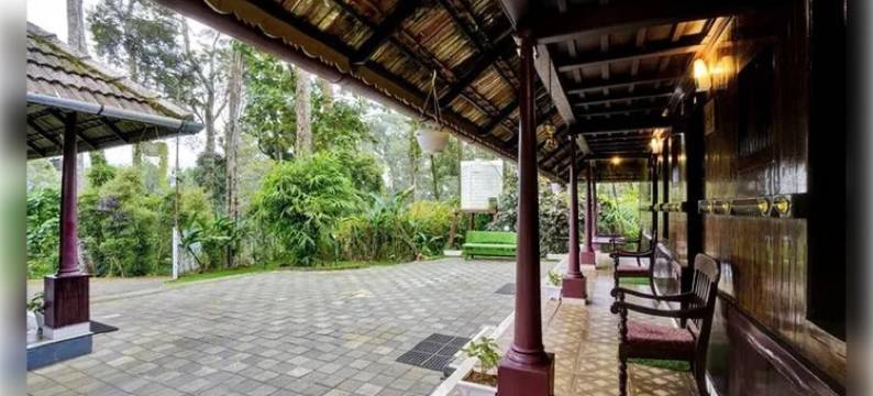 雾银(Misty D Silver)图片