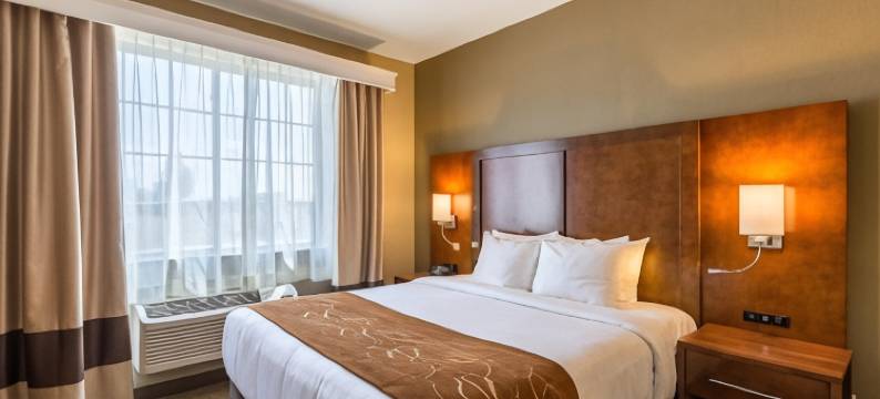 伯灵顿舒适套房酒店(Comfort Suites Burlington)图片