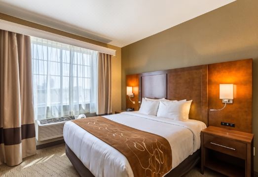 Comfort Suites BurlingtonHotel Overview