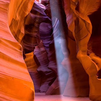 美国加州1号公路+大峡谷南缘+羚羊峡谷+66号公路+卡梅尔小镇+好莱坞环球影城+旧金山+洛杉矶+拉斯维加斯+约书亚树国家公园12日10晚跟团游