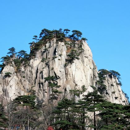 黄山风景区+婺源篁岭景区3日2晚跟团游