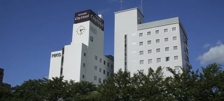 鸟取市酒店(Tottori City Hotel)图片