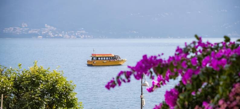 阿祖罗酒店(Hotel All'Azzurro)图片