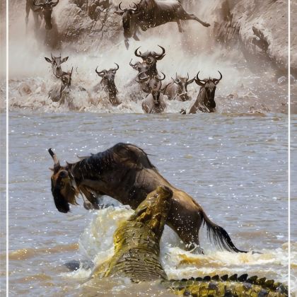 肯尼亚10日9晚跟团游