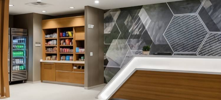 哥伦比亚SpringHill Suites酒店(SpringHill Suites Columbia)图片