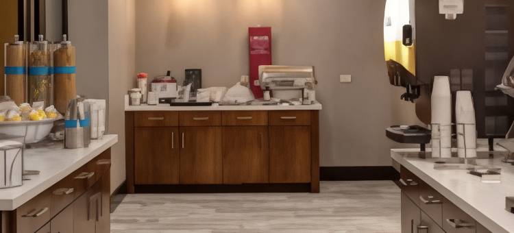 威奇托/机场希尔顿欢朋套房酒店(Hampton Inn & Suites Wichita/Airport)图片