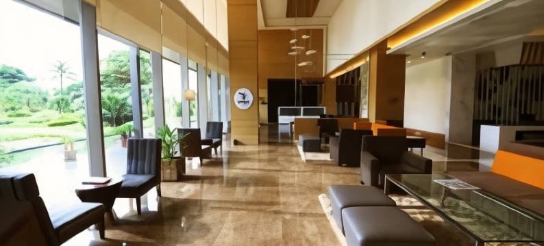 拉普萨亚吉酒店(Sayaji Raipur)图片