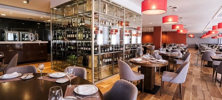 查韦斯阿克弗拉高级酒店(Hotel Premium Chaves - Aquae Flaviae)图片