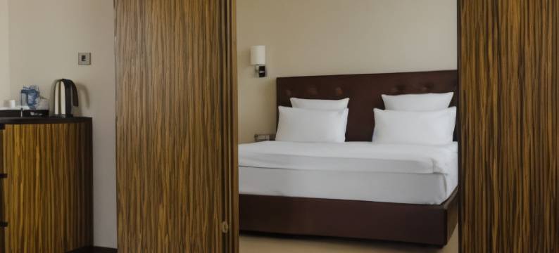 梅尔根巴托酒店(Cosmos Selection Ulan-Ude Hotel)图片