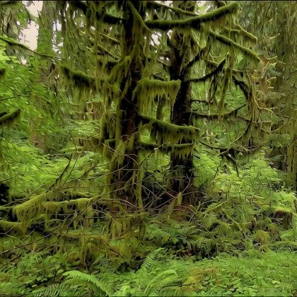 美国西雅图4日3晚私家团