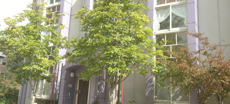 白马国王酒店(Hakuba King Hotel)图片