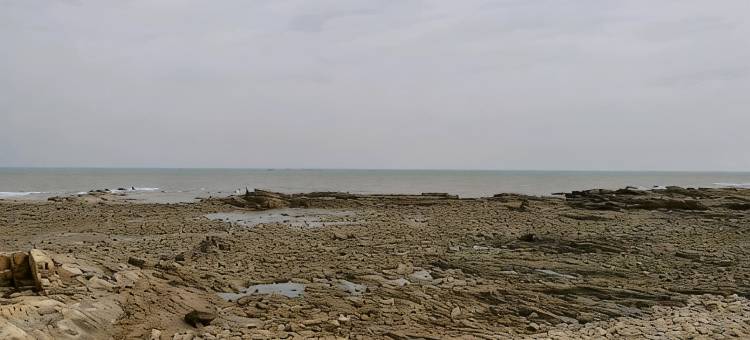 日照天朗海馨渔家乐图片