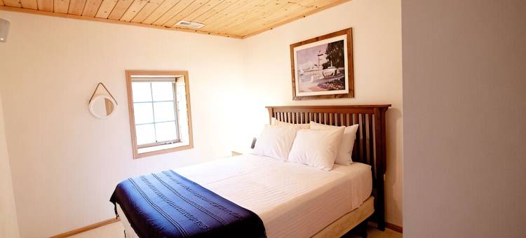 路易莎湖畔5卧室度假屋: 桑拿, 纱网门廊, 露台, 壁炉(5Br Lakefront Home on Lake Louisa: Sauna, Screen Porch, Patio, Fireplace)图片