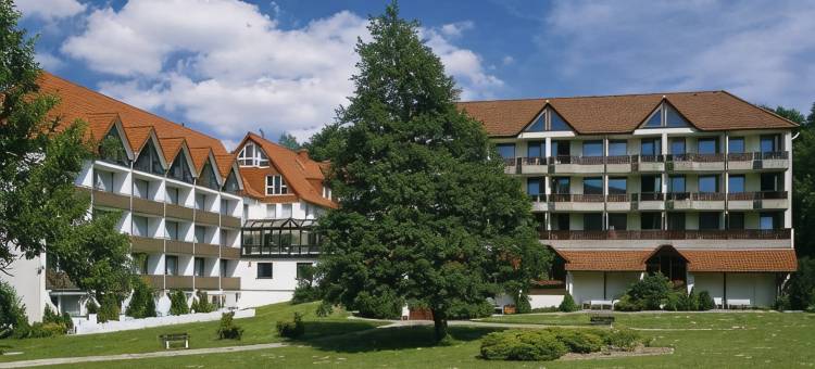 瓦尔德酒店熊石(Waldhotel Bärenstein)图片