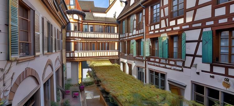 德特宅邸酒店(Relais & Châteaux la Maison des Têtes)图片