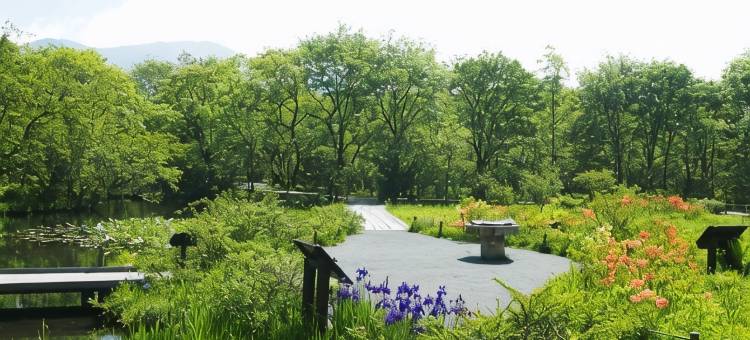 EN度假村-箱根ReCove(EN Resort Re'Cove Hakone)图片