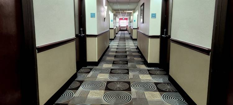 山姆休斯顿收费公路温德姆戴斯套房酒店(Days Inn & Suites by Wyndham Sam Houston Tollway)图片
